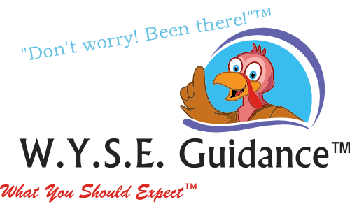 WYSEguidance Logo